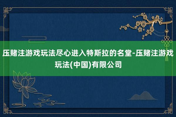 压赌注游戏玩法尽心进入特斯拉的名堂-压赌注游戏玩法(中国)有限公司