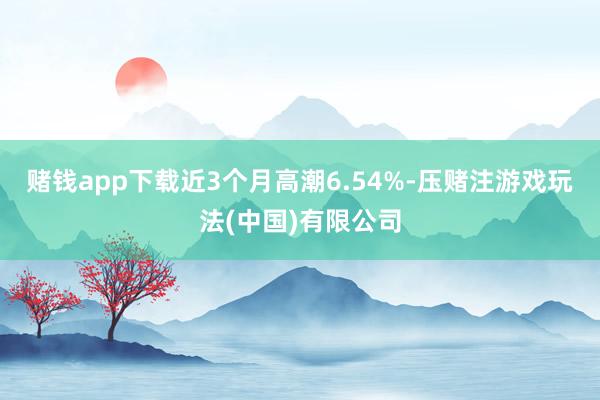 赌钱app下载近3个月高潮6.54%-压赌注游戏玩法(中国)有限公司