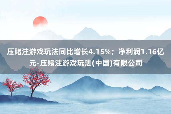 压赌注游戏玩法同比增长4.15%；净利润1.16亿元-压赌注游戏玩法(中国)有限公司