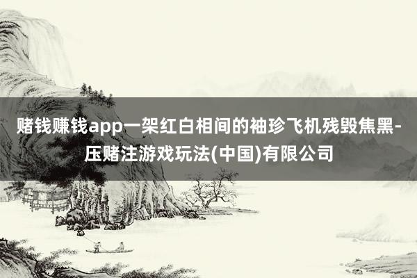 赌钱赚钱app一架红白相间的袖珍飞机残毁焦黑-压赌注游戏玩法(中国)有限公司