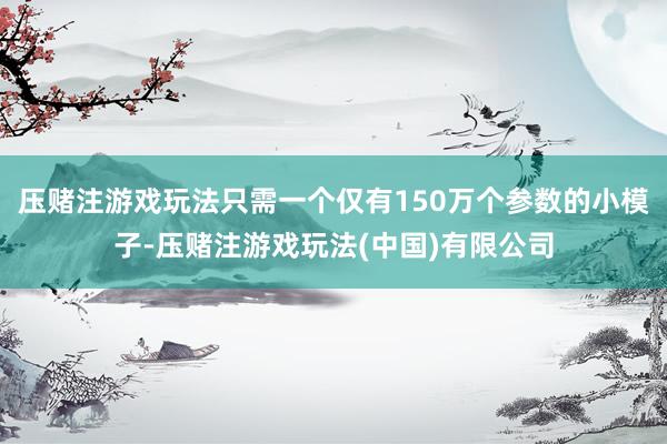 压赌注游戏玩法只需一个仅有150万个参数的小模子-压赌注游戏玩法(中国)有限公司