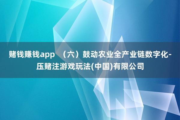 赌钱赚钱app  （六）鼓动农业全产业链数字化-压赌注游戏玩法(中国)有限公司