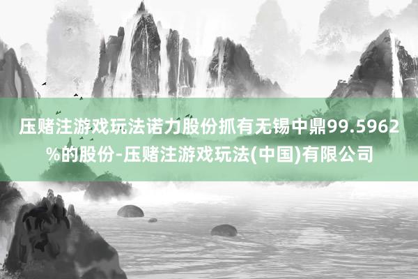 压赌注游戏玩法诺力股份抓有无锡中鼎99.5962%的股份-压赌注游戏玩法(中国)有限公司