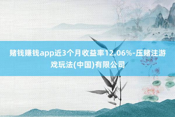 赌钱赚钱app近3个月收益率12.06%-压赌注游戏玩法(中国)有限公司