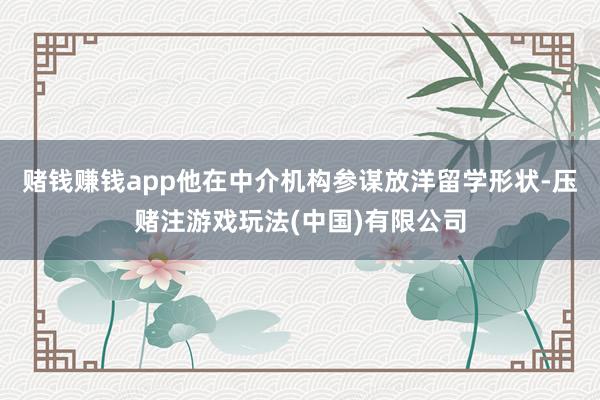 赌钱赚钱app他在中介机构参谋放洋留学形状-压赌注游戏玩法(中国)有限公司