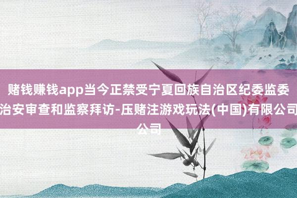 赌钱赚钱app当今正禁受宁夏回族自治区纪委监委治安审查和监察拜访-压赌注游戏玩法(中国)有限公司